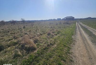 Spațiu comercial, în Șag - 6