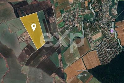 Teren Construcții intravilan de 450000 mp, în Corbeanca - 2