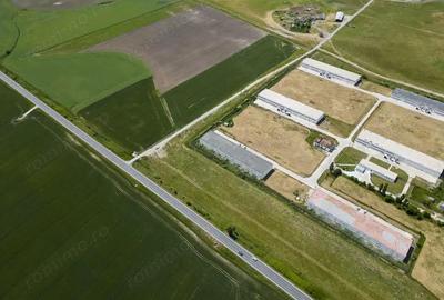 Teren Intravilan Investi?ii 11.600 mp Salonta - 10