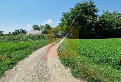 Teren intravilan 4.133 mp cu dublă deschidere – Girov, Neamț | Toma Imobiliare