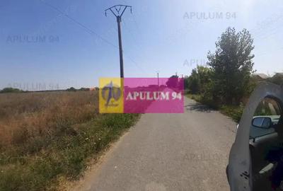 Teren de 1300 mp, în 1 Decembrie - 12