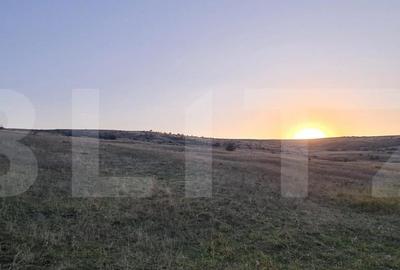 Teren, 11.600 mp, Campenesti - 2