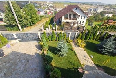 VILĂ CU 5 CAMERE - 150 MP UTILI - BECI, GARAJ, 717 MP TEREN, VIȘAN-BUCIUM - 36