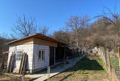 Casă cu 4 camere în Central - 5