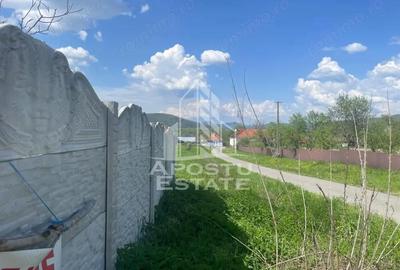 Teren de 10000 mp, în Pojoga - 3