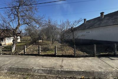 Casă cu 3 camere cu Teren 8000 Mp în Someș-Odorhei - 3