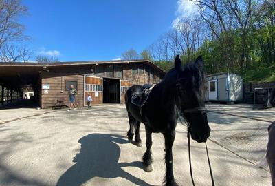 Proprietate specială, de 1,537,099 mp, în Herneacova - 18