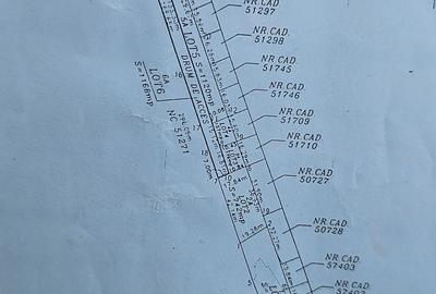 Domnești- Str.Fortului, 742mp, gaze, lumină - 6
