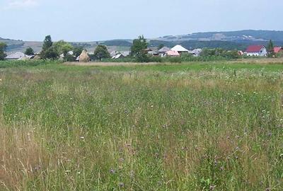 Spațiu comercial, în Central - 4