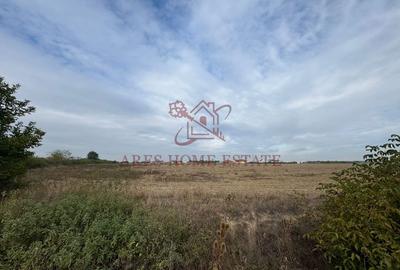 Oportunitate de investitie, zona cu potențial de urbanizare - Moșnița - 4