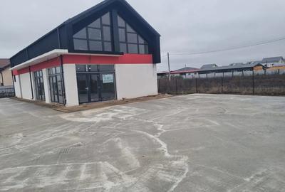 Spațiu comercial, de 300 mp, în Vidra - 2