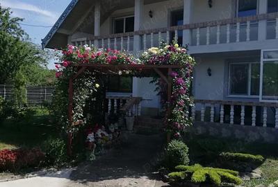 Casă cu 6 camere cu Teren 937 Mp în Mogoșești - 6