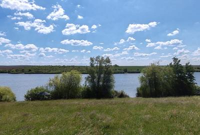 Teren extravilan deosebit, 5755 mp pe malul lacului Miersig, Bihor - 3