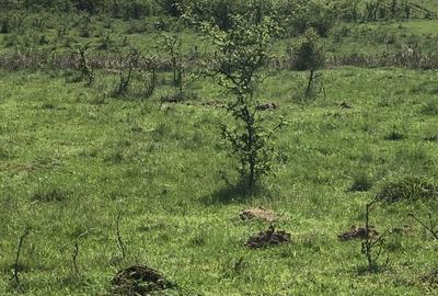 Spațiu comercial, în Racovița - 2