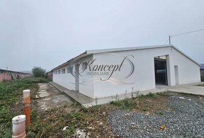 Hala la prima inchiriere, izolata termic, disponibila imediat in Jucu de Mijloc - 1