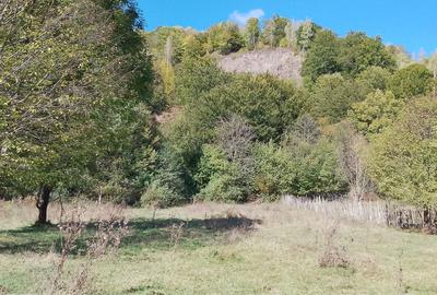 Spațiu comercial, în Central - 4