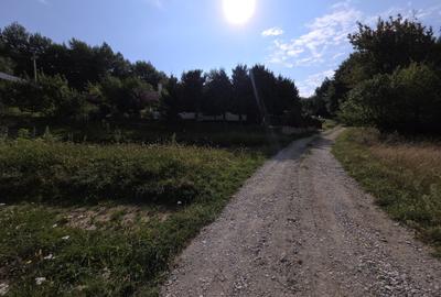 Teren Construcții intravilan de 1000 mp, în Bran - 6