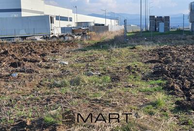 Teren industrial 6000 mp zona industriala Vest - 3