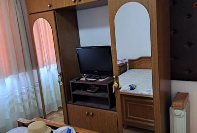 Drumul Taberei Raul Doamnei 2 camere decomandat centrala, AC mobilat si utilat - 2