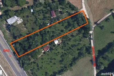 Teren de 2600 mp, în Frăsinet