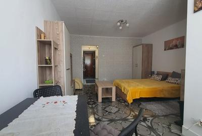 Garsonieră semidecomandată în Costin Georgian - 3