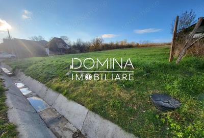 Teren de 11939 mp, în Bălănești - 3