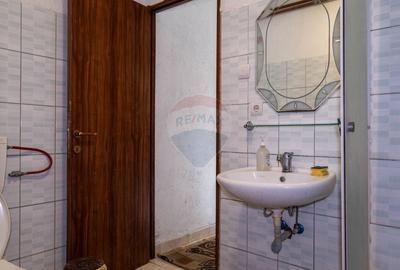 Casă individuală cu 10 camere cu Teren 1348 Mp în Sânbotin - 11
