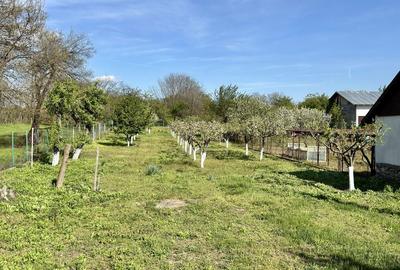 Casă cu 2 camere în Alexeni - 7