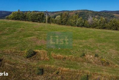 Teren de 1000 mp, în Băișoara - 4