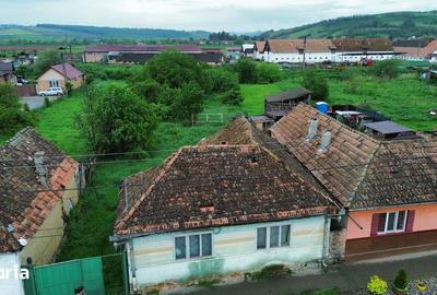 Casă cu 3 camere cu Teren 1200 Mp în Homorod - 11