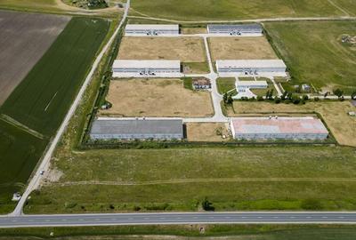 Teren Intravilan Investiții 11.600 mp Salonta - 3