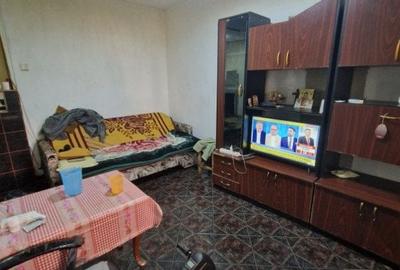 Garsoniera - 10 min de parcul Teilor - Ozana - 1