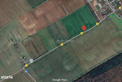 Teren de 668 mp, în Vasilați - 5