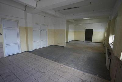 Drumul Intre Tarlale spatiu productie 1350 mp - 18