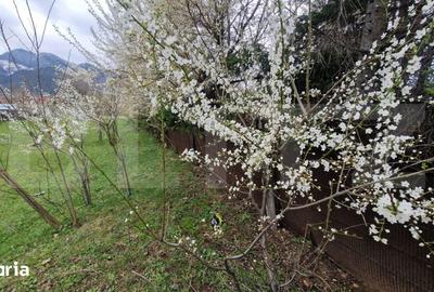 Teren de 4300 mp, în Baciu - 5