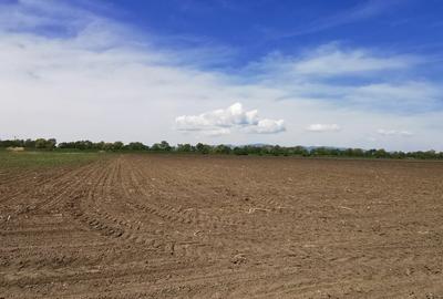 TEREN AGRICOL DE VANZARE - BOD - BRASOV 4,5 HA - 5