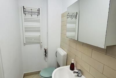 Apartament cu 2 camere nedecomandat, mobilat în Lipovei - 12