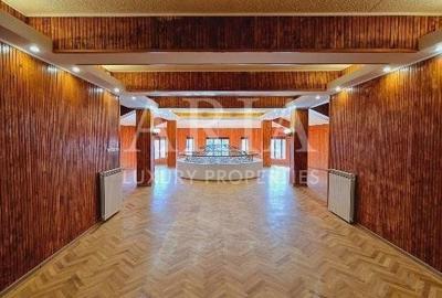 VANZARE VILA | HALA IN VLADICEASCA | SNAGOV | 10.500 MP TEREN - 9