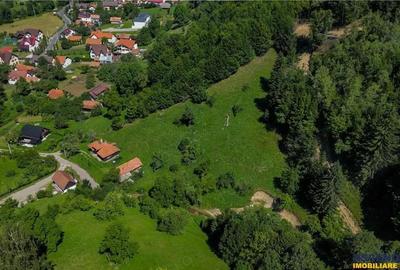 FILM! Casa traditionala pe domeniu de 4.300mp teren, Bran - Simon, Brasov - 15