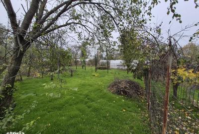 Spațiu comercial, în Balotești - 8