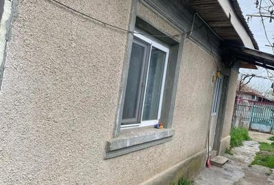 Casă cu 1 camere în Mircea-Vodă - 1
