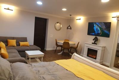 Garsoniera superfinisata si mobilata lux - langa str. Sforii - 9
