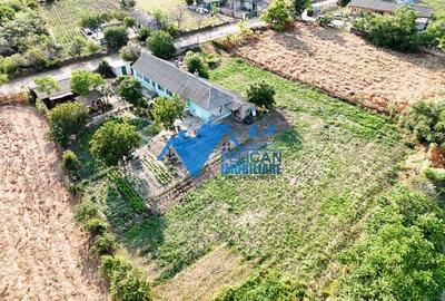 Casa cu teren in Salcioara (Jurilovca) - 2600mp - 10