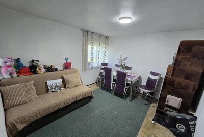 Casă cu Teren 4600 Mp în Tetoiu - 7