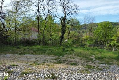 Teren de 992 mp, în Păușești - 7