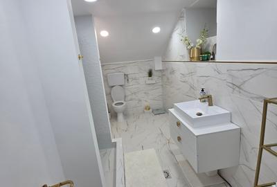 Vand casa D+P central Deva - 5