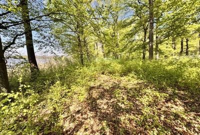 TEREN 7000 MP| DESCHIDERE 40 ML | INTRAVILAN-PADURE | POT 5% | TEREN UNIC | - 5