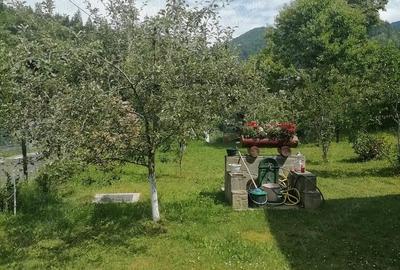 Casă cu 6 camere cu Teren 1056 Mp în Central
