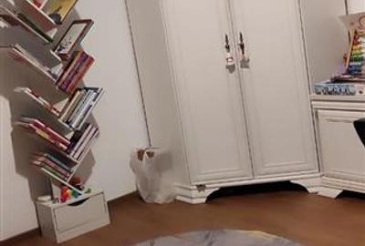 Apartament cu 3 camere decomandat, mobilat în Școlilor - 7