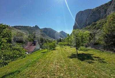 Teren deosebit de vanzare 1800 mp, Cheile Vali?oarei livada de nuci - 4